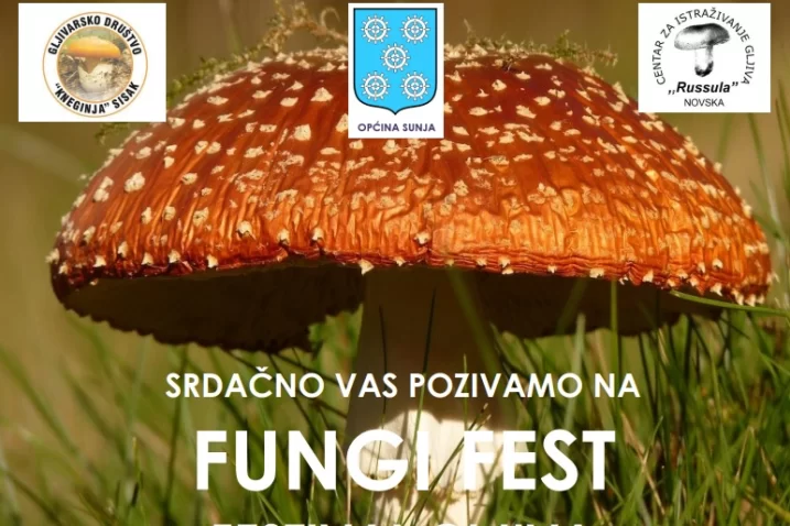 Fungi Festival U Sunji