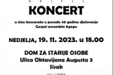 Koncert Agape Sisak 2