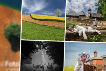 Kolaž 4 Najbolje Ruralne Fotografije 2023.