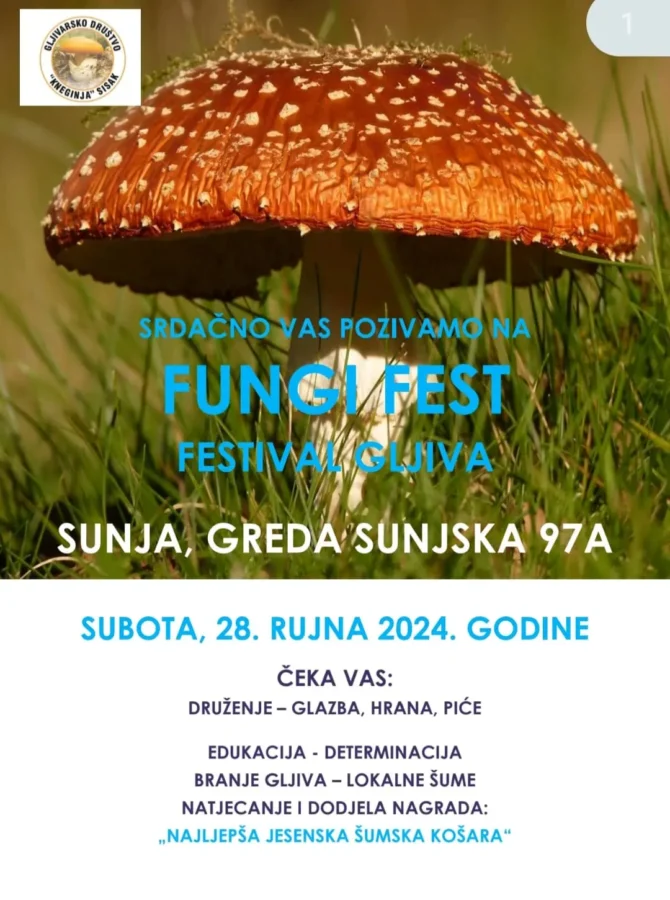 Fungi Fest 1