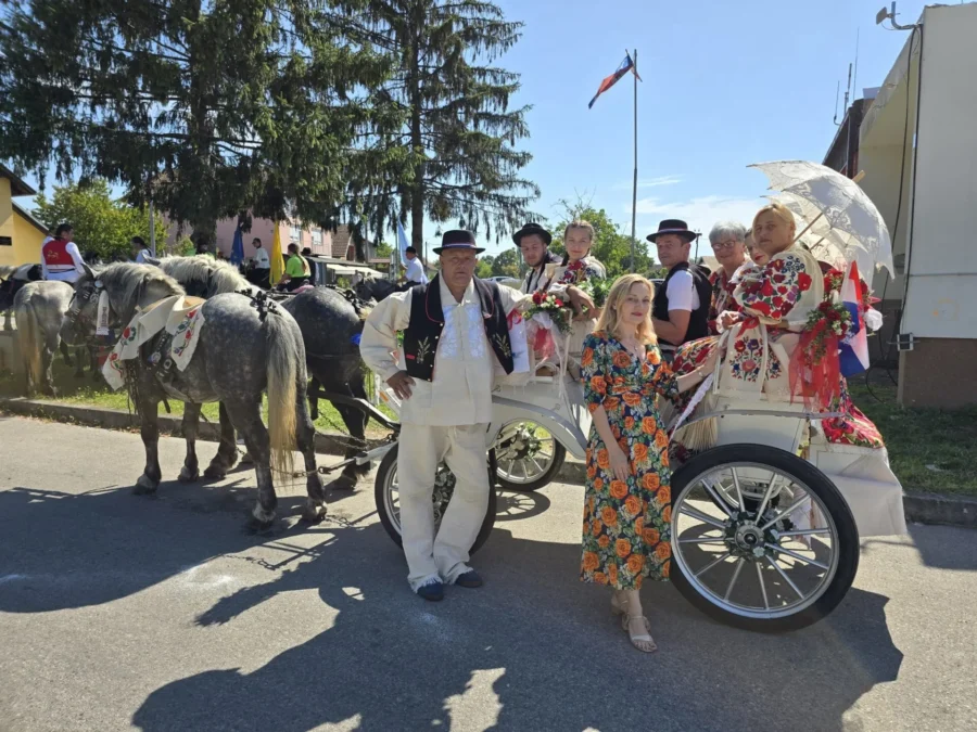 Konjogojska izložba sunja (2)