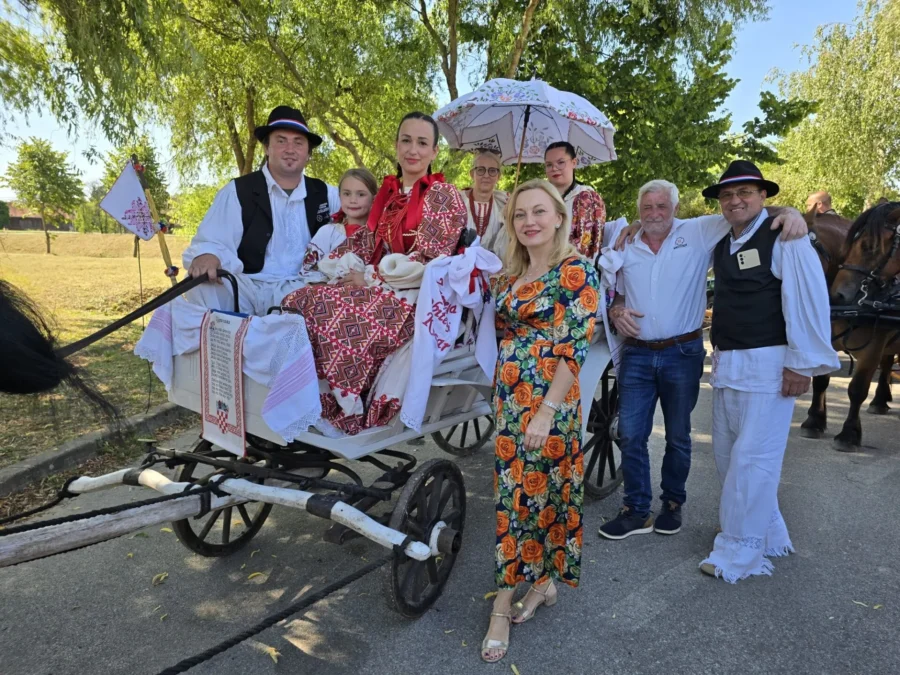 Konjogojska izložba sunja (3)