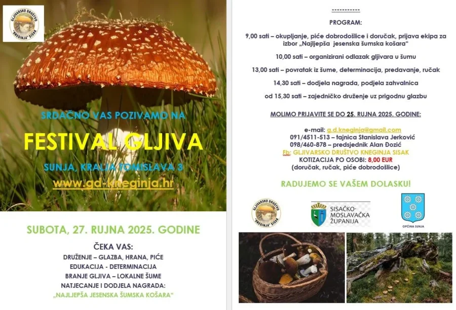 203 pozivnica slika 3