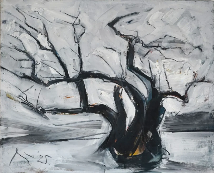 Maslina xiii, ulje na platnu, 73,5 x 90 cm, 2025.