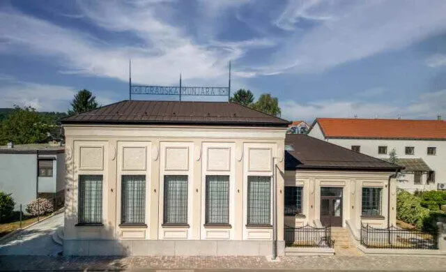 Munjara petrinja