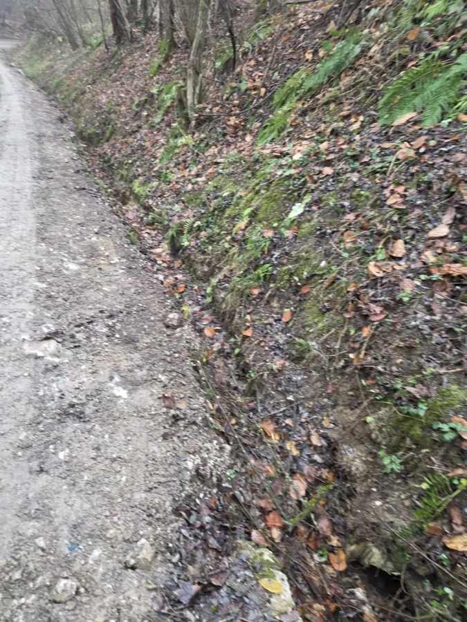 Radovi vrh letovanički