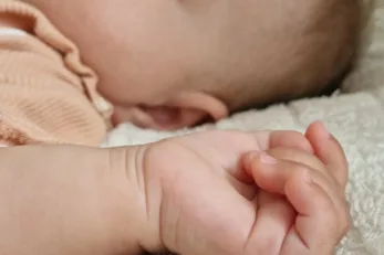 D6ddb1bc f50c 4d2a bd98 3410d23dba46