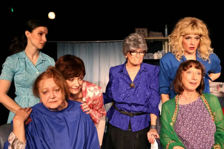 Predstava Celicne magnolije