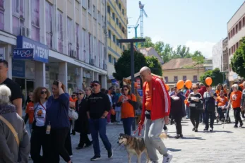 Ms walk