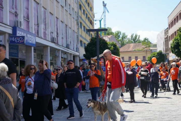 Ms walk