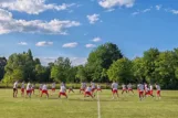 Segesta prozivka
