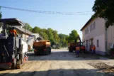 Radovi topolovac