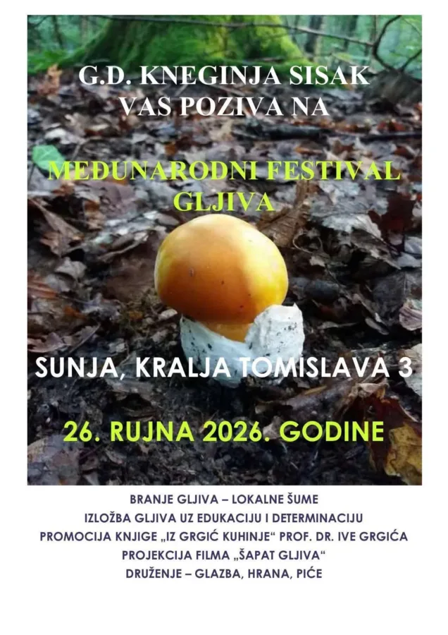Fungi fest