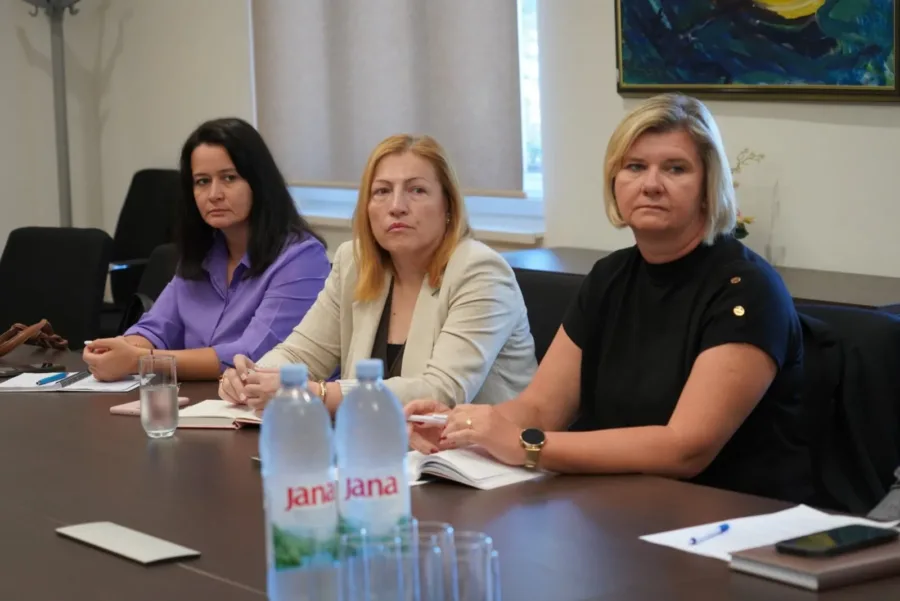 Grad sastanak osnovne škole